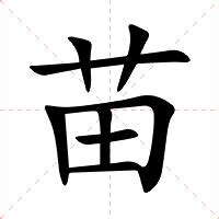 苗意思|苗：苗的意思/造詞/解釋/注音